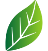 logo ecocraff
